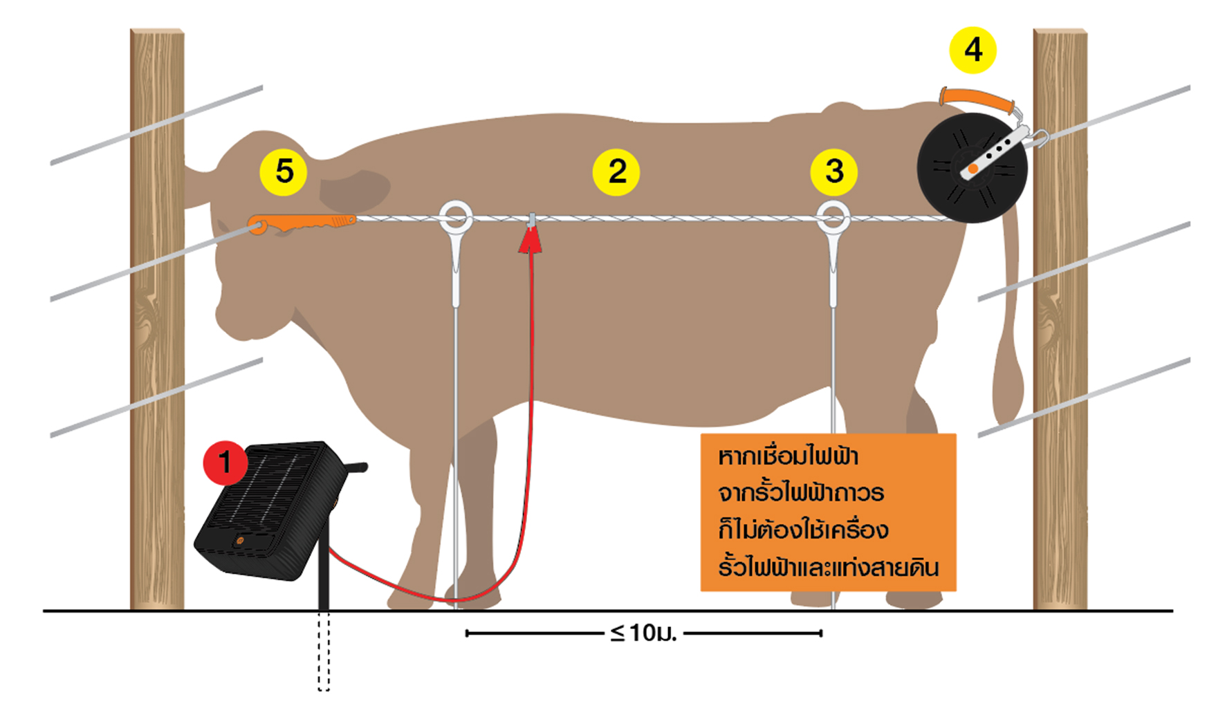 รั้วโค